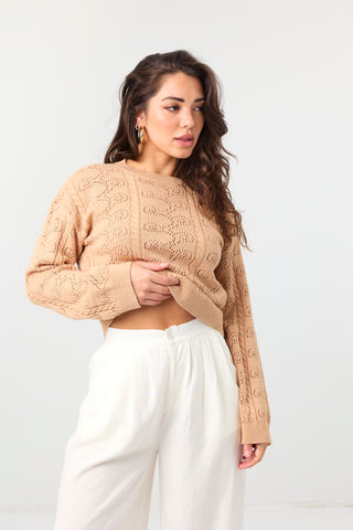 Signature Cotton Cashmere Crewneck Sweater