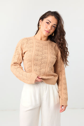 Signature Cotton Cashmere Crewneck Sweater